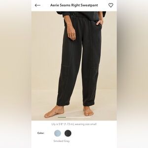 Aerie Sweatpant - Small Short Length